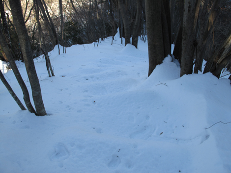 20180126hike (343)